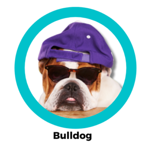 สุนัขบูลด็อก Bulldog