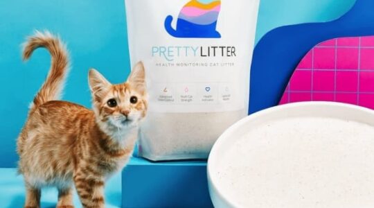 PrettyLitter Original Health Monitoring Crystal Cat Litter 6lb