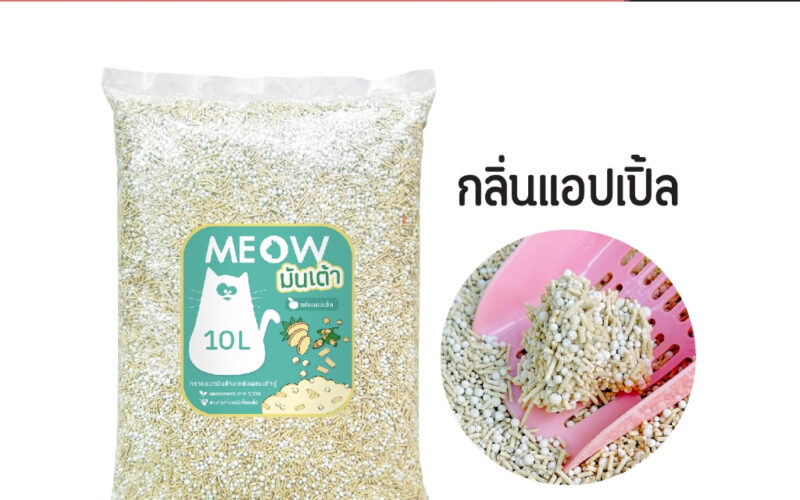 ทรายแมวเก็บกลิ่นดียี่ห้อไหนดี เทียบ 5 ตัวเลือกทั้งแบรนด์ไทยและสูตรไม่แต่งกลิ่น