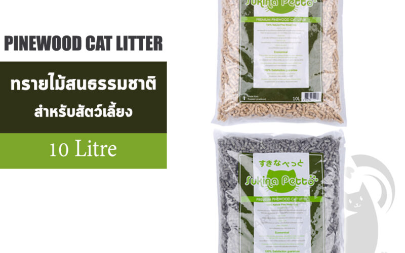 ทรายแมวไม้สนยี่ห้อไหนดี เลือกให้ถูกทั้งสูตรและกระบะ