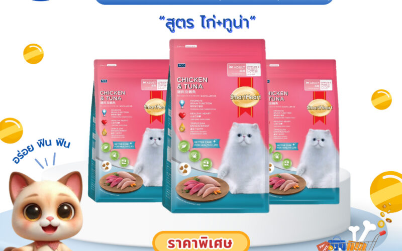 อาหารแมวราคาประหยัดยี่ห้อไหนคุ้ม เทียบต้นทุนต่อวันก่อนซื้อ