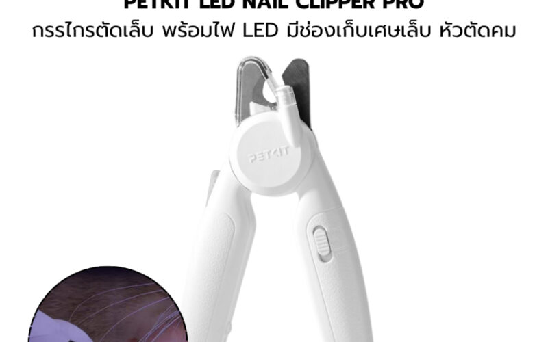 กรรไกรตัดเล็บแมวรุ่นไหนดี เลือกให้เข้ามือและเห็นเล็บชัด