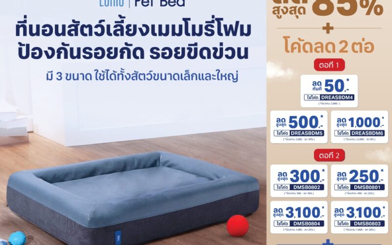ที่นอนแมวรุ่นไหนดี เลือกจากท่านอน อากาศ และจุดวาง