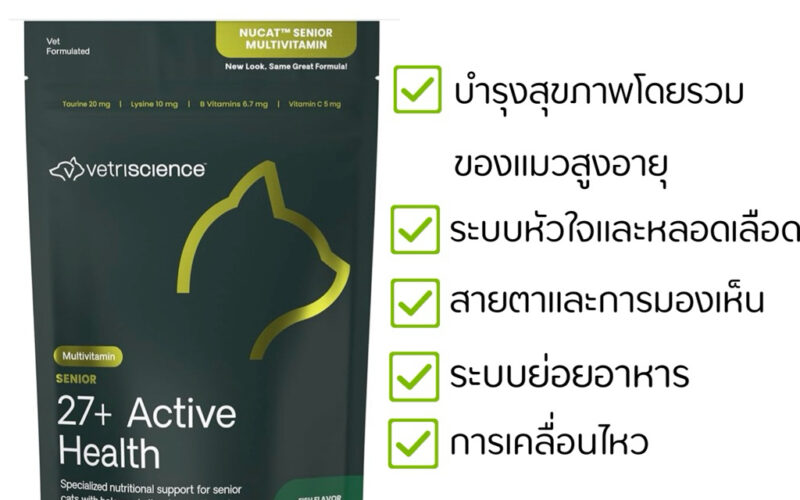 วิตามินแมวยี่ห้อไหนดี เลือกจากช่องว่างโภชนาการ ไม่ใช่จำนวนสาร
