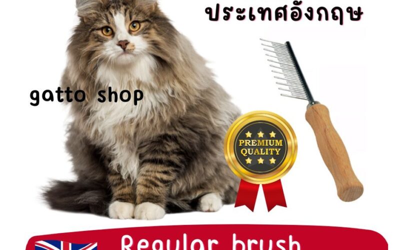หวีสางขนแมวรุ่นไหนดี เลือกซี่หวีให้ผ่านขนโดยไม่ดึงเจ็บ