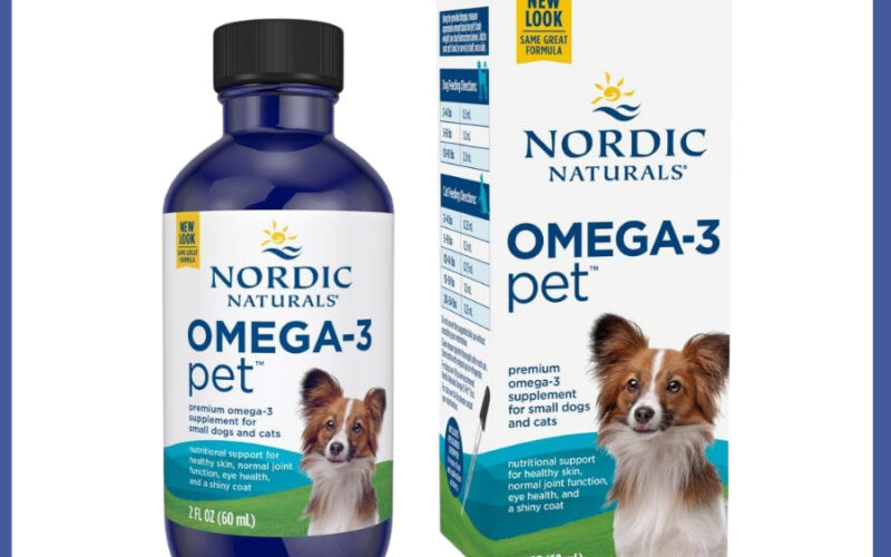 น้ำมันปลาสำหรับแมวยี่ห้อไหนดี เทียบ 4 แบบจากฉลาก EPA+DHA