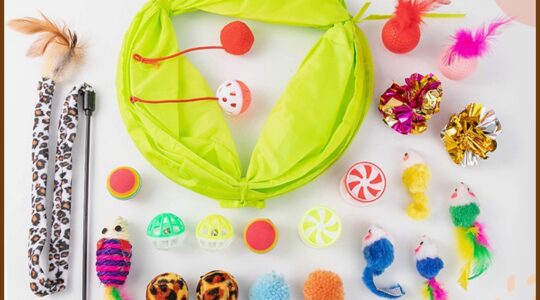 KUMA Toy Set for Cats and Dogs
