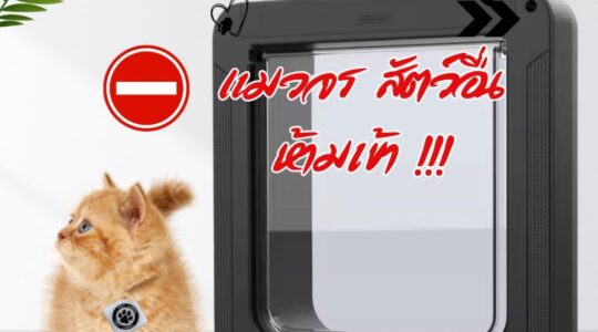 Herupa RFID Automatic Pet Door