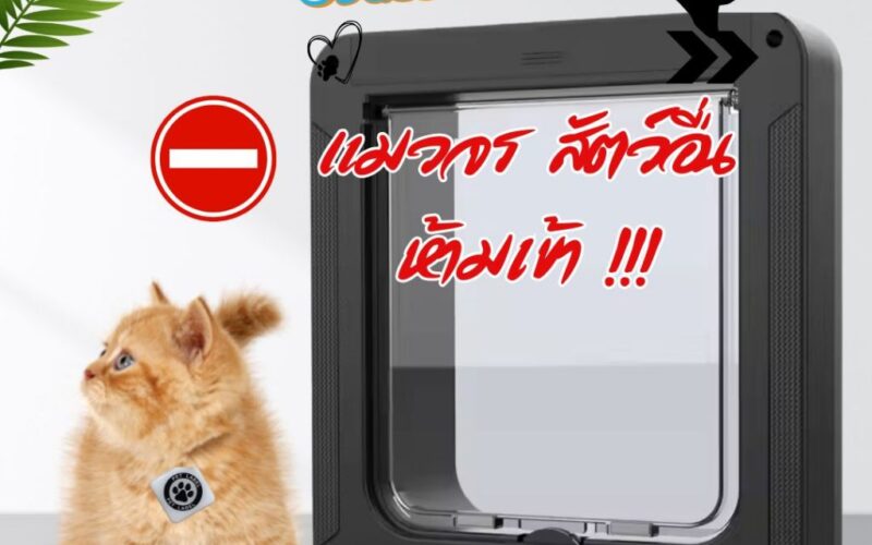 ประตูแมวอัตโนมัติรุ่นไหนดี เลือกจากสิทธิ์เข้า–ออกก่อนเจาะบ้าน