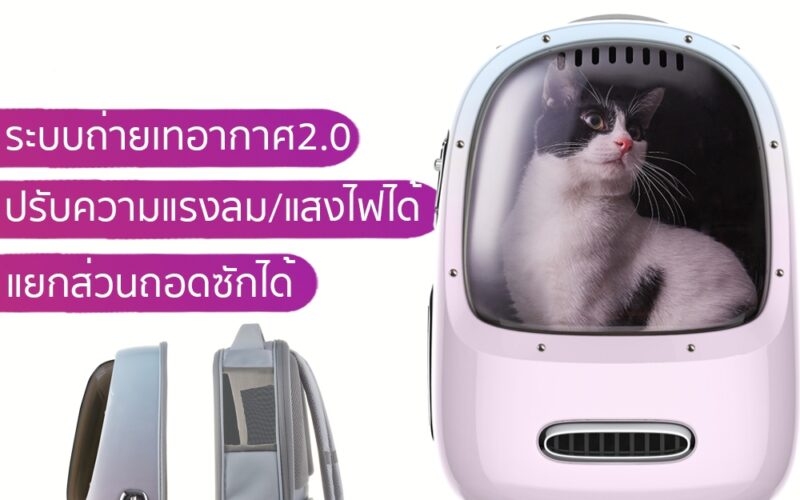 กระเป๋าเป้แมวรุ่นไหนดี ผ่านด่านหนี 30 วินาทีก่อนซื้อ
