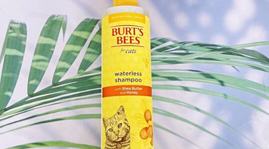 Burt's Bees Waterless Shampoo for Cats Shea Butter & Honey 296 mL