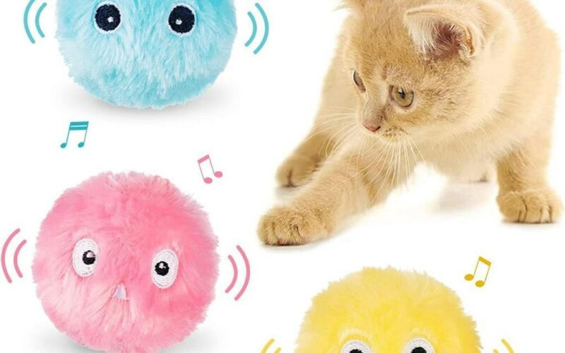 ของเล่นสำหรับลูกแมว มีอะไรบ้าง จัดกล่อง 5 งานให้เล่นครบ