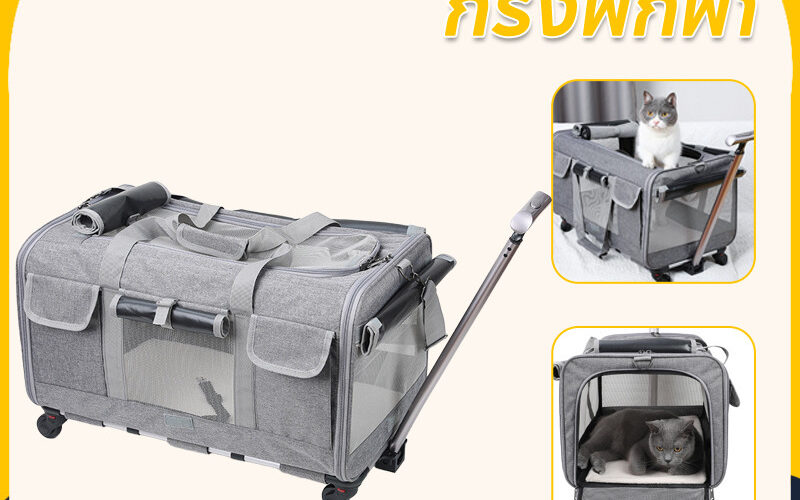 AimayaPet Foldable Large-Capacity Wheeled Cat Carrier