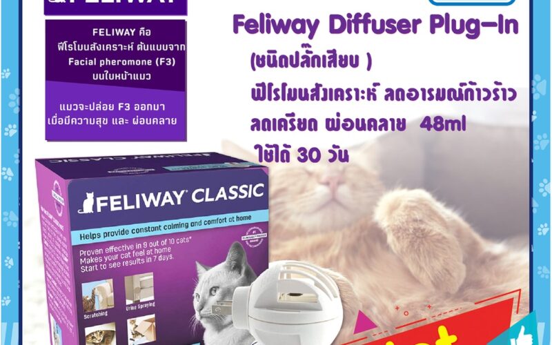 ฟีโรโมนสำหรับแมวแบบไหนดี เลือกตามสถานการณ์และพื้นที่