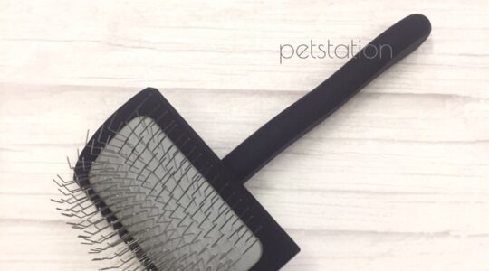 Chris Christensen Big K Slicker Brush Medium