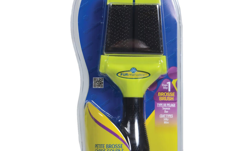 อุปกรณ์ Grooming สำหรับสุนัขพันธุ์เล็ก จัดชุดให้พอดีขนและใช้งานจริง