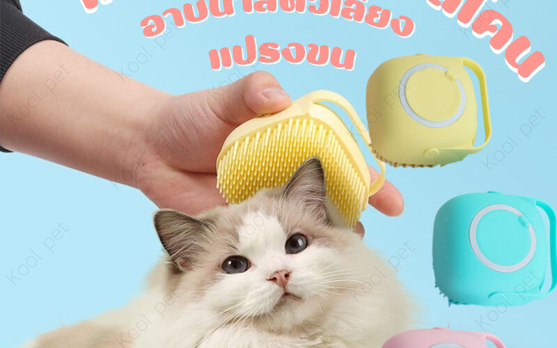 แปรงอาบน้ำสุนัข รุ่นไหนดี เลือกให้เข้าขนและนิสัยตอนเปียก