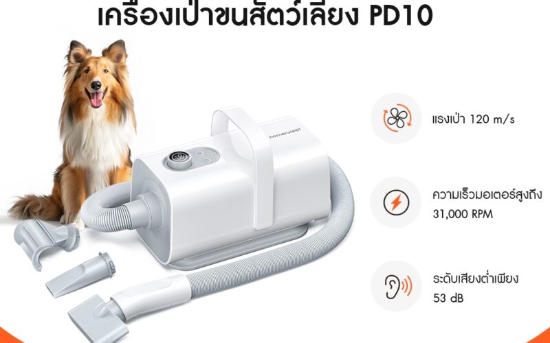 ไดร์เป่าขนสุนัขพันธุ์ใหญ่ รุ่นไหนดี แรงพอแต่คุมลมได้