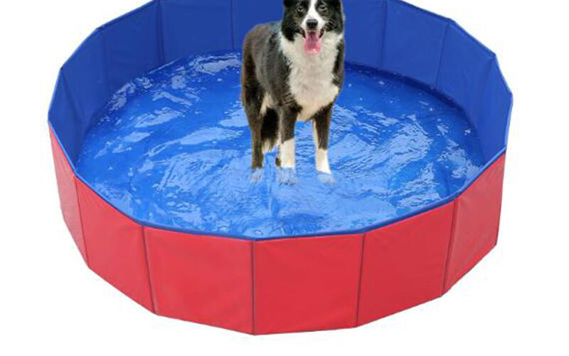 ZYFeeder Foldable Large Pet Bath and Dog Pool