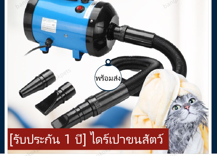 ไดร์เป่าขนสุนัขกับไดร์เป่าผมต่างกันอย่างไร เลือกให้ตรงขน