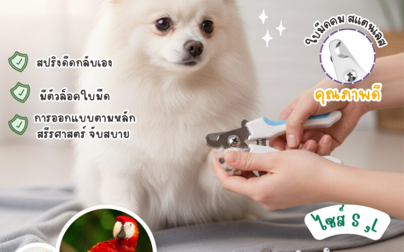กรรไกรตัดเล็บสุนัขพันธุ์ใหญ่ เลือกแบบคีมหรือเครื่องเจียรดี