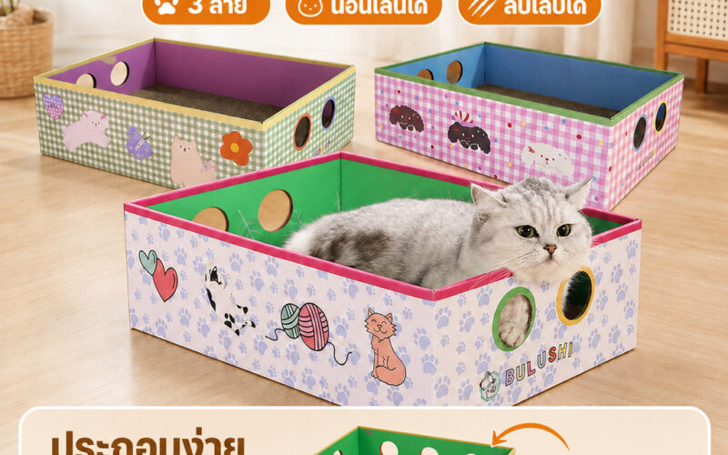 กล่องลับเล็บแมว กระดาษลูกฟูก