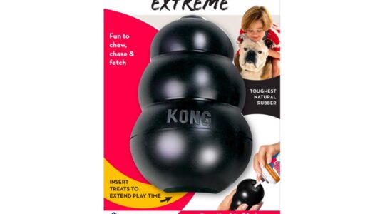 KONG Extreme Dog Toy
